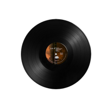 Load image into Gallery viewer, Mary Gauthier - Drag Queens in Limousines - 12" Black Vinyl