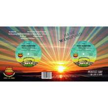 Load image into Gallery viewer, Hank Wangford - Perfect Day collectors 7" vinyl